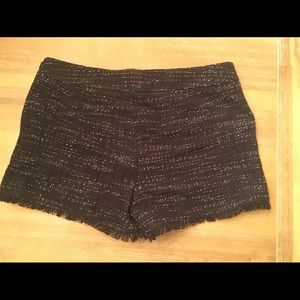 NWT Ann Taylor Loft Shorts Size 4